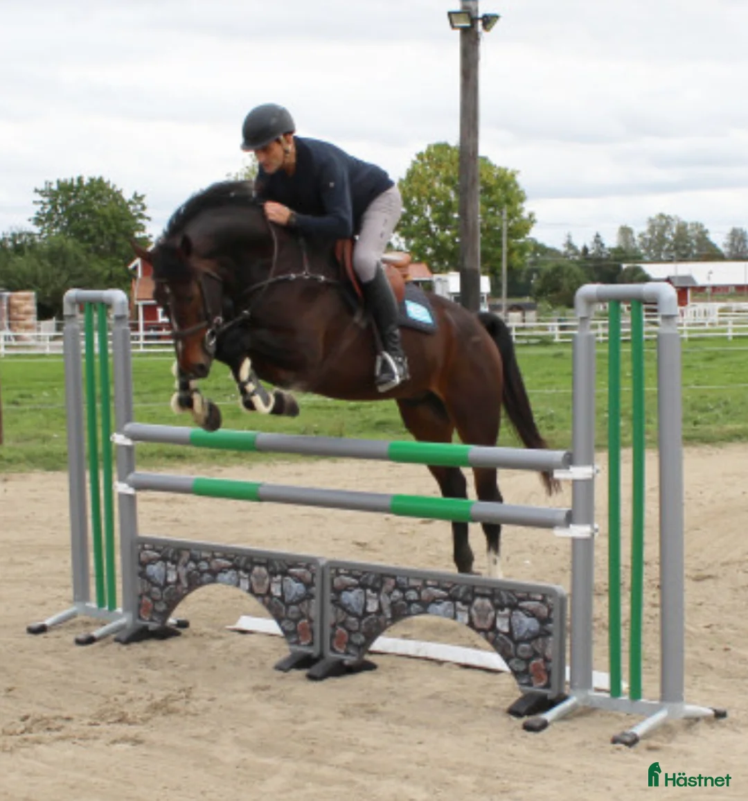 Stallinredning, stängsel & gård övrig utrustning till salu: Hindermaterial i Steninge - Annons 2