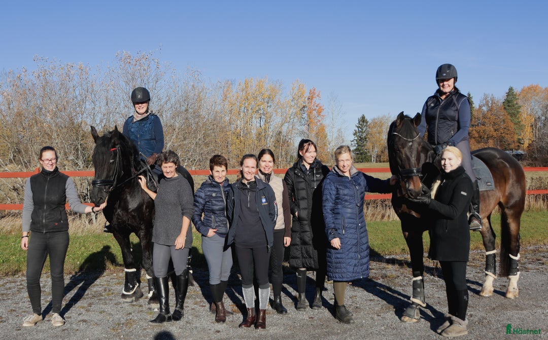  hästservice finnes: Ride and Dine kurs på Sanna Nilsson Dressyrcenter i Stora Sundby - Annons 3