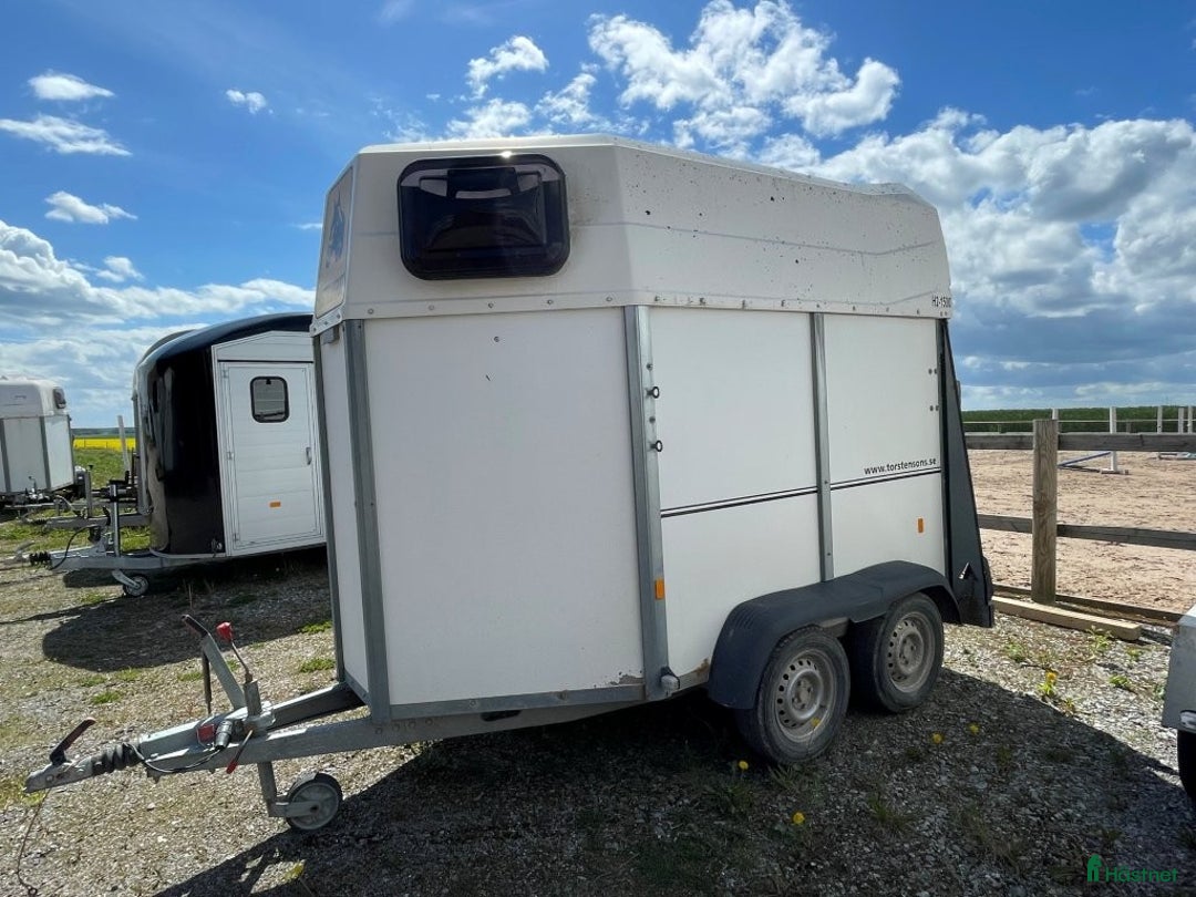 Hästtransporter  fordon & transport till salu: Nyinkommen Värmlandsvagnen 2019 i Västerås - Annons 1