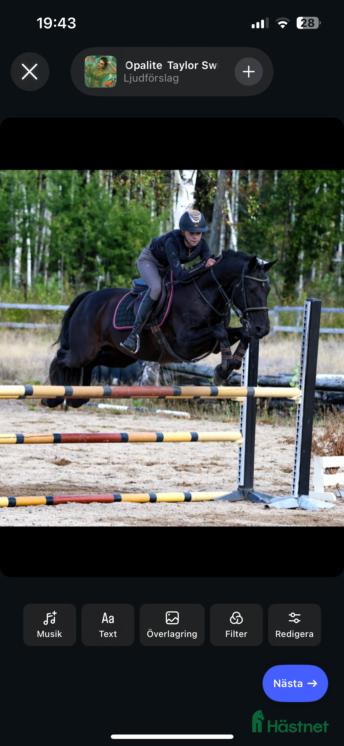  medryttarhäst finnes: Medryttare sökes till C-ponny i Traryd. - Annons 9