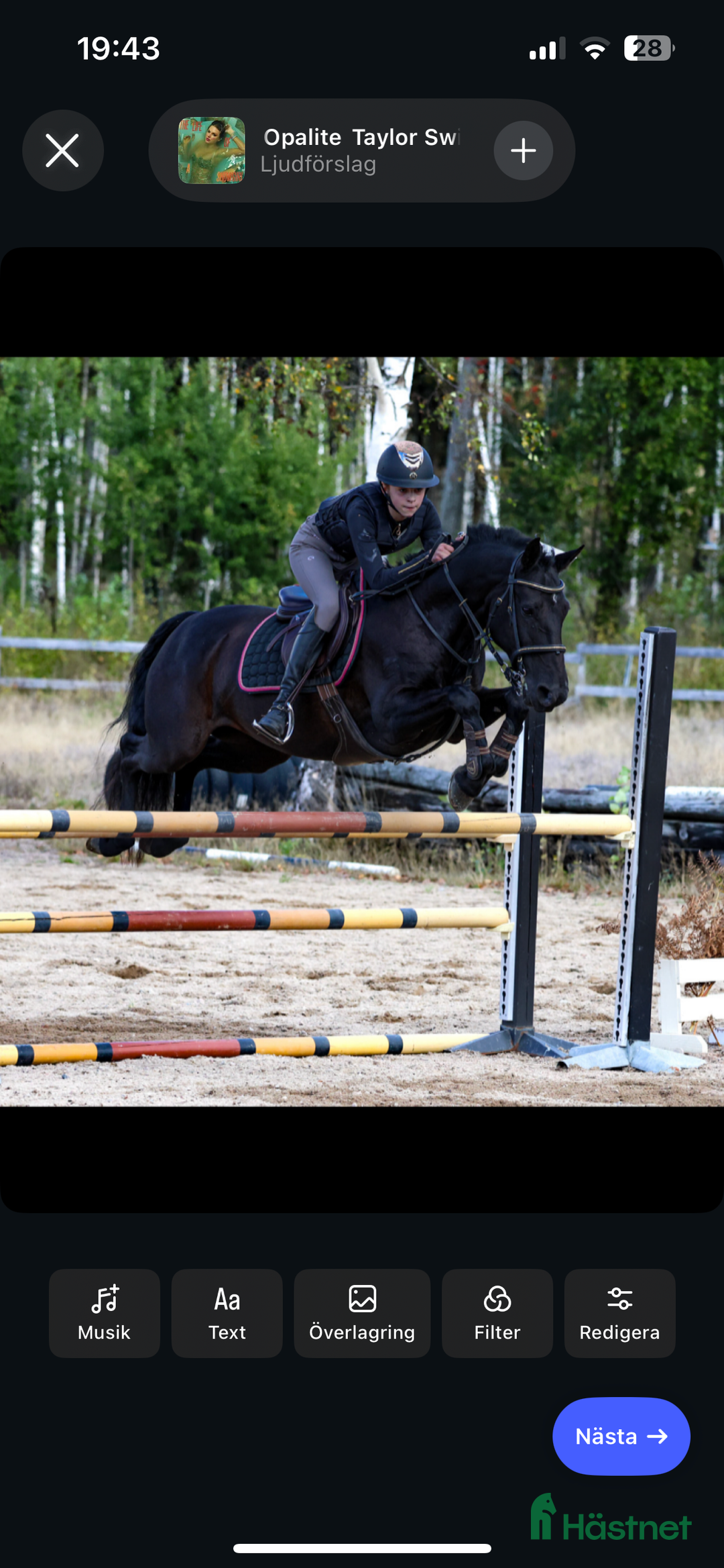  medryttarhäst finnes: Medryttare sökes till C-ponny i Traryd. - Annons 1