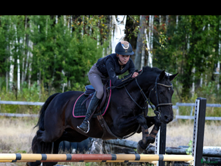 medryttarhäst finnes: Medryttare sökes till C-ponny i Traryd. i Traryd - Annons 7