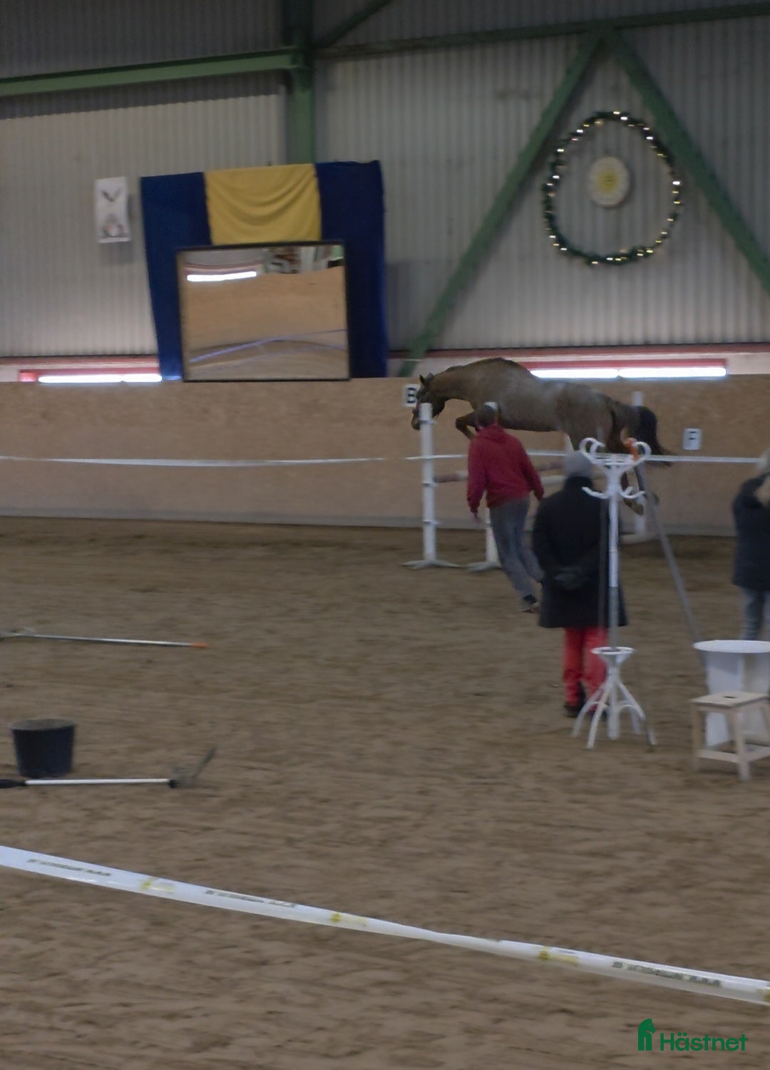  hästar Drömponny  i Munka-ljungby - Annons 15