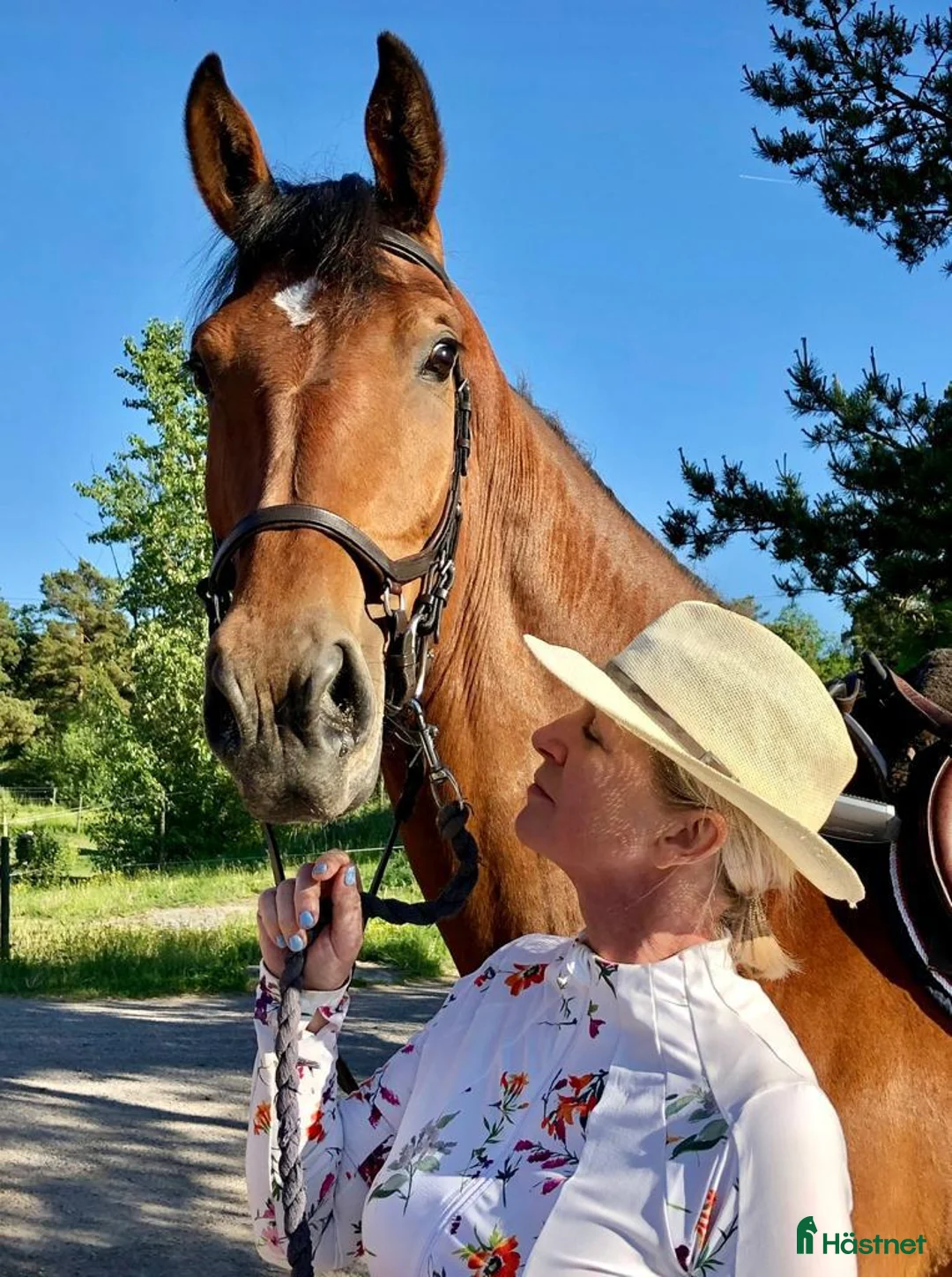 Hoppning hästar till salu: 9-årigt sto e. Heartbeat - Annons 2