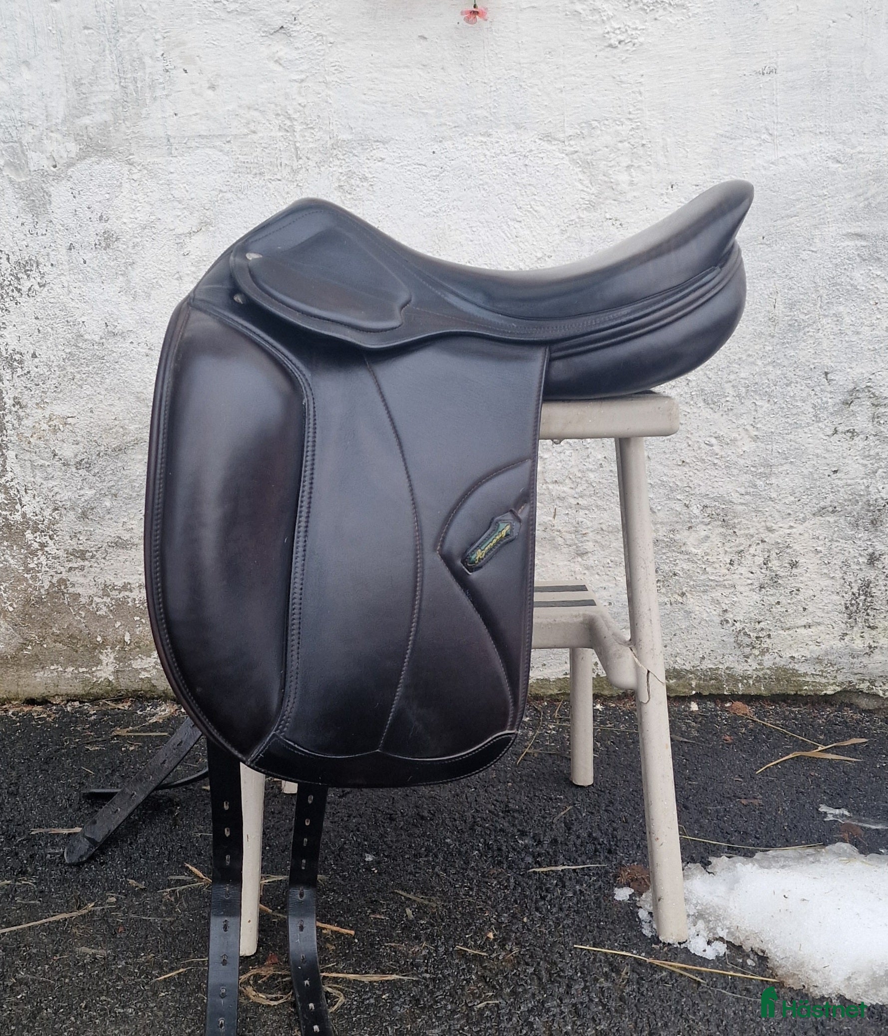 Sadlar hästutrustning till salu: Amerigo DJ Pinerolo - Annons 19