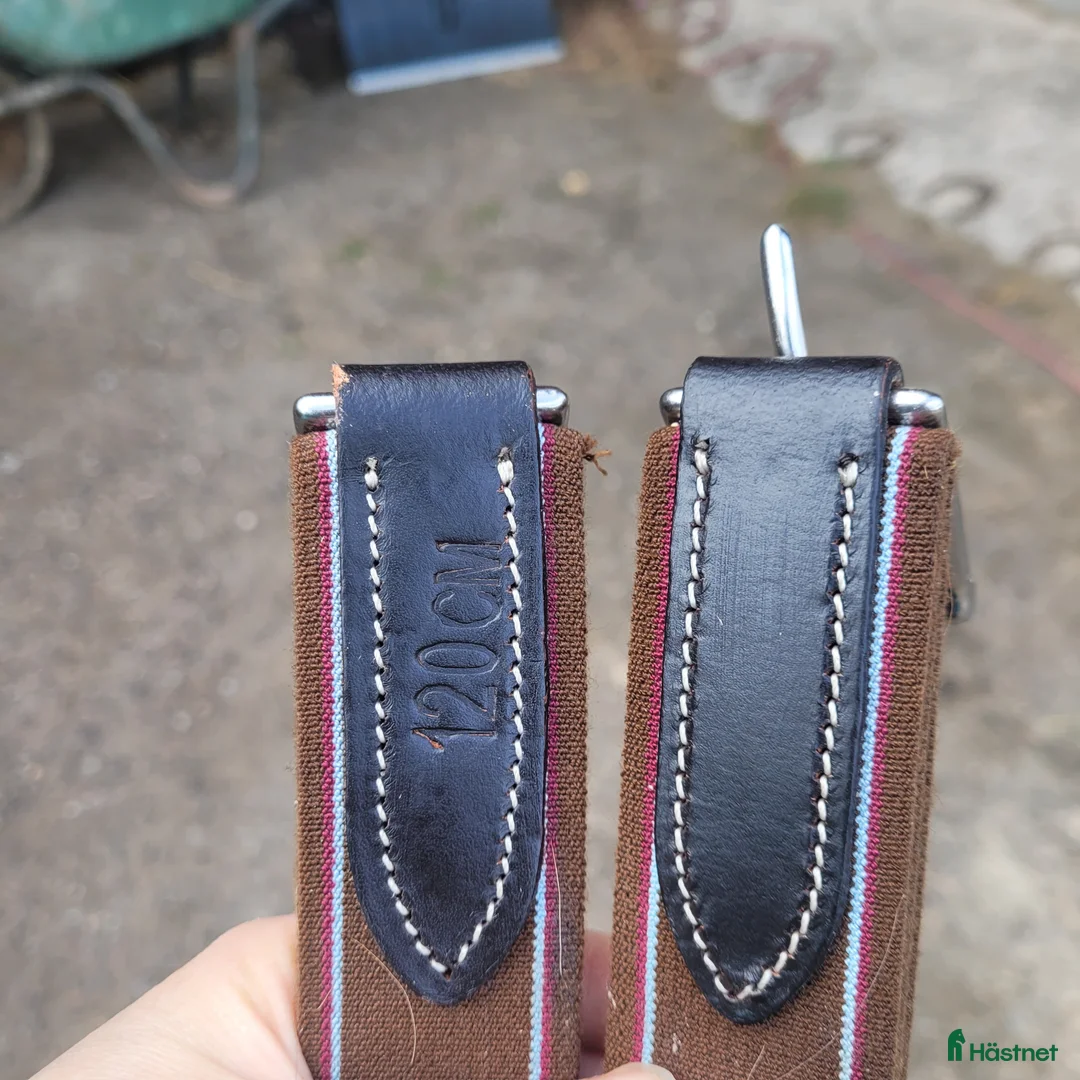 Sadeltillbehör hästutrustning till salu: Lippo sadelgjord - Annons 2