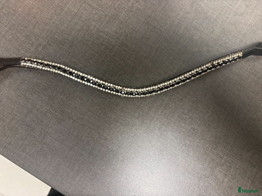 Övrig Hästutrustning hästutrustning till salu: Pannband i Landskrona - Annons 3