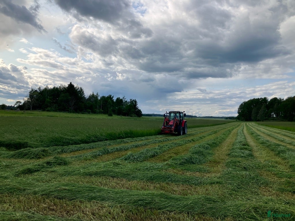 Övrig utrustning övrig utrustning till salu: Plastat Hö, billigt sista 50 balarna! i Köping - Annons 3