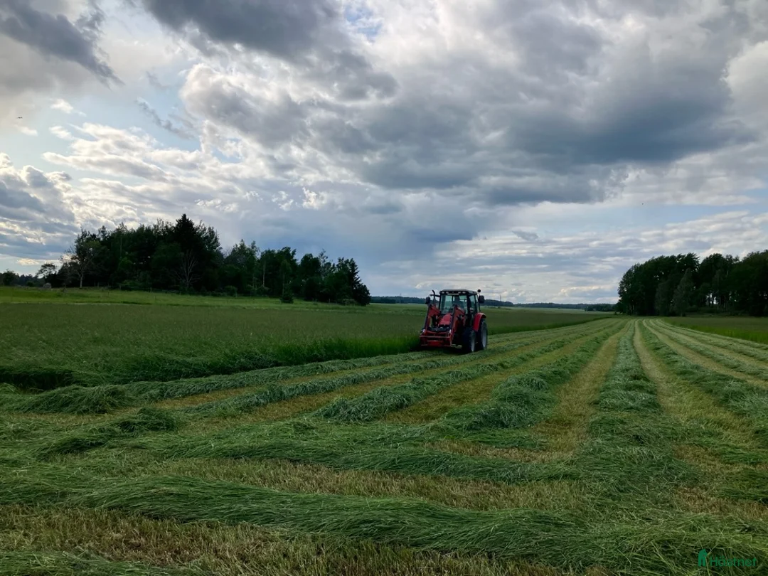 Övrig utrustning övrig utrustning till salu: Plastat Hö, billigt sista 50 balarna! i Köping - Annons 1