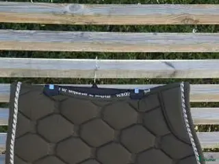 Schabrak & Vojlockar hästutrustning till salu: Ps of Sweden schabrak i Habo - Annons 4