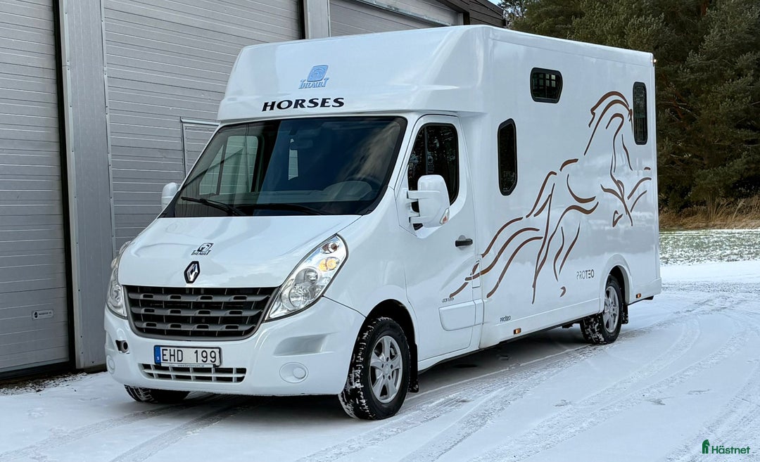 Hästlastbilar  fordon & transport till salu: 5-sitsig Theault Proteo STUTERI hästlastbil  i Stockholm - Annons 6