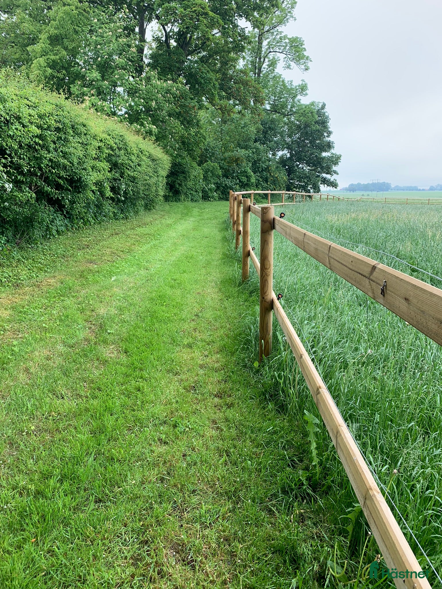  hästjobb Stall söker hjälp för lättare arbete  i Trelleborg - Annons 12