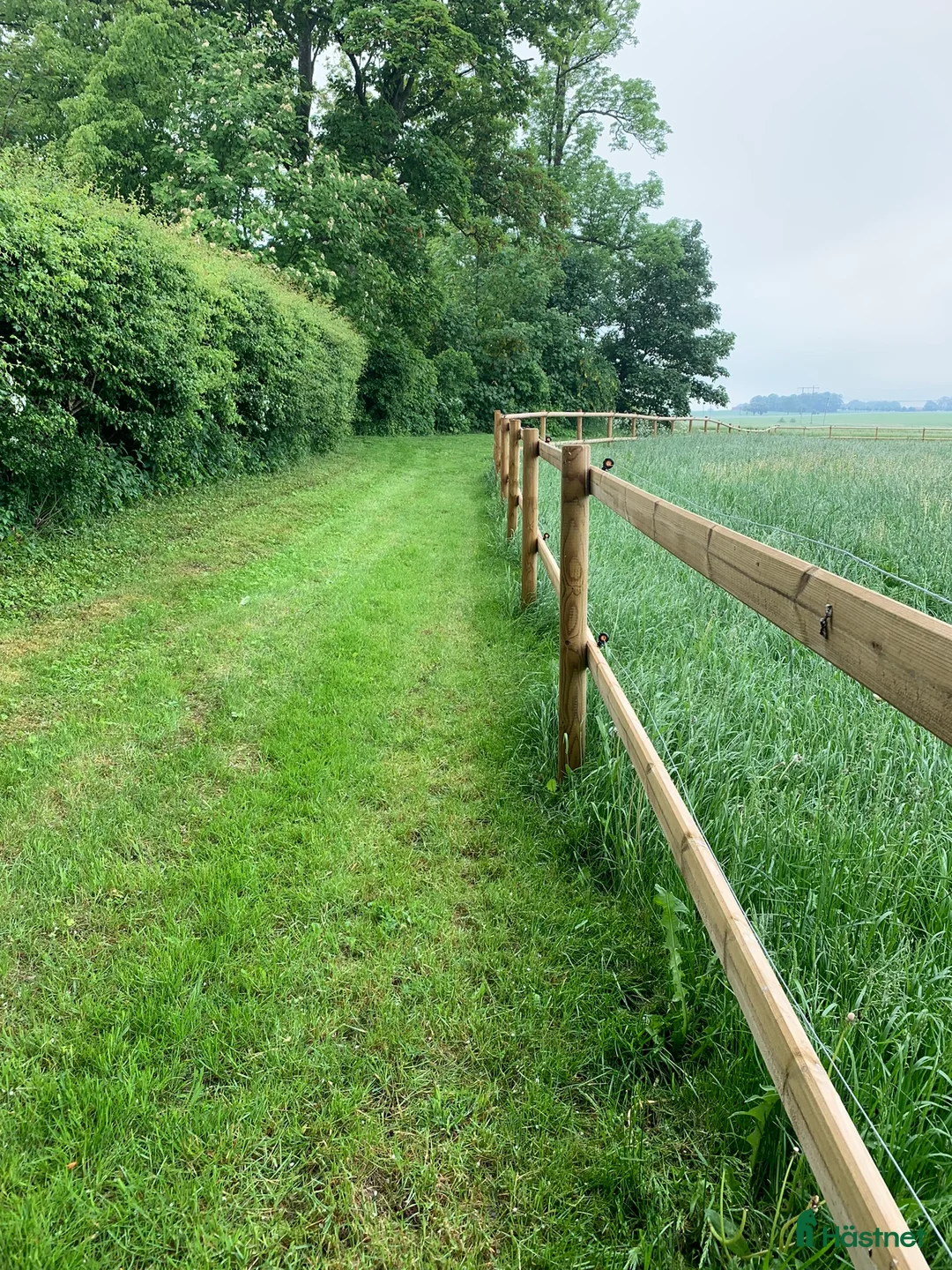 hästjobb finnes: Stall söker hjälp för lättare arbete  i Trelleborg - Annons 1