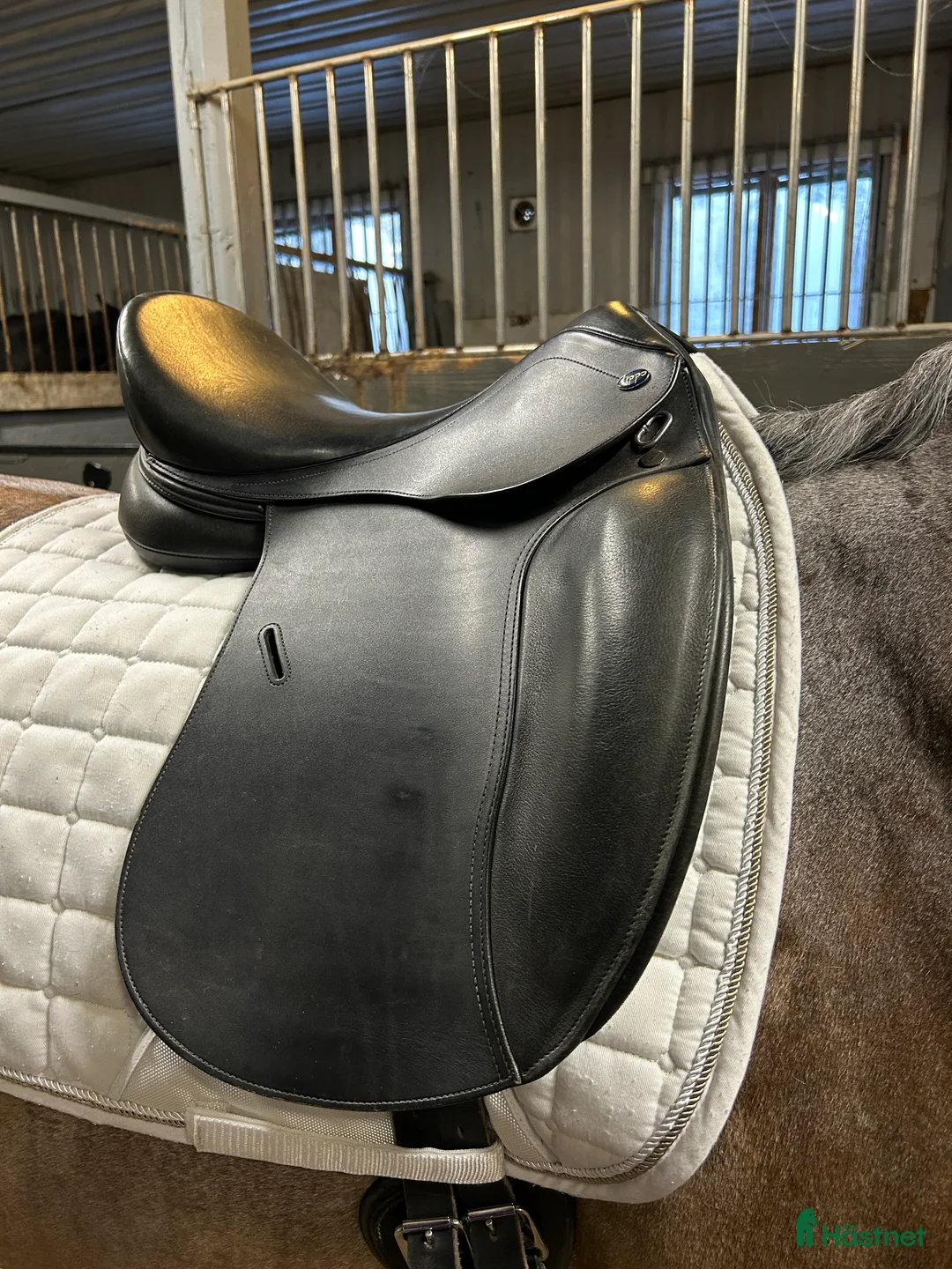 Sadlar hästutrustning till salu: Dressyrsadel 15,5 tum - Annons 2
