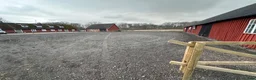 hästgårdar till salu: Lägenhet intill stall uthyres vid terrängbana - Annons 5