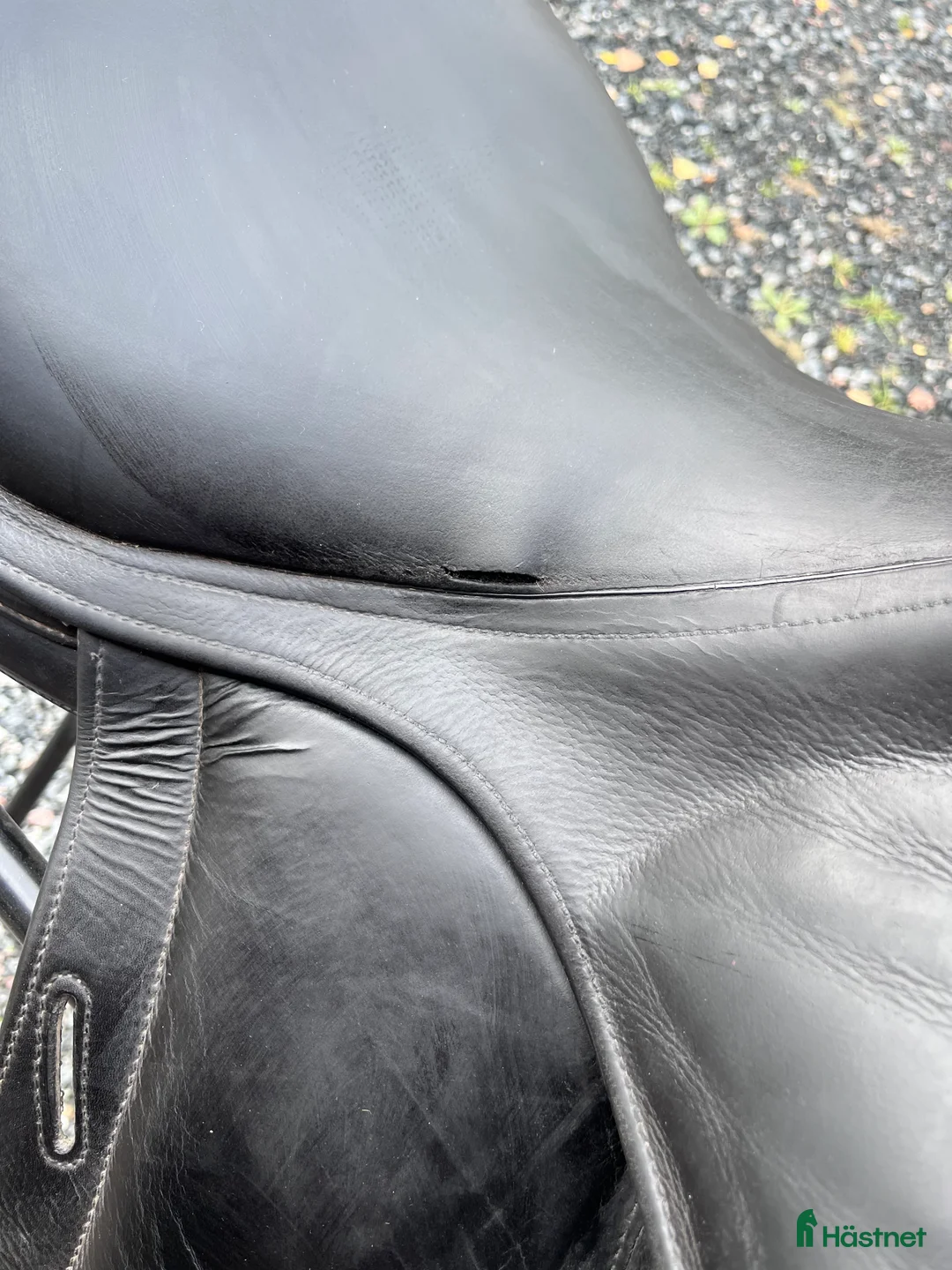 Sadlar hästutrustning till salu: Childeric dressyrsadel DFL - Annons 6