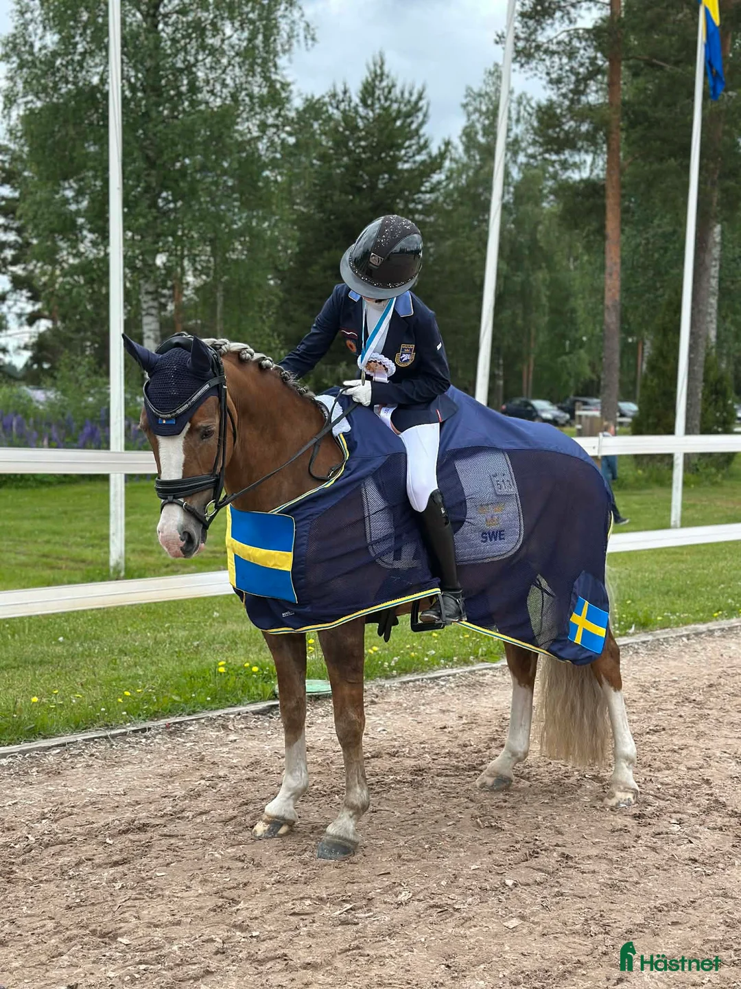 Sadlar hästutrustning till salu: Equipe Olympia, svart, 16" - Annons 7