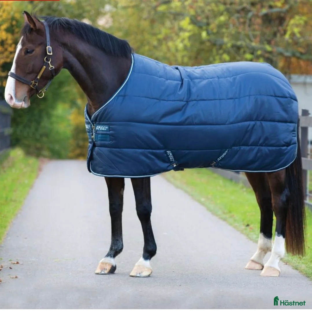 Täcken hästutrustning till salu: Oanvänt Amigo Insulator stalltäcke - Annons 6