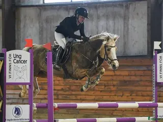 hästar Maxad C-ponny - Annons 6
