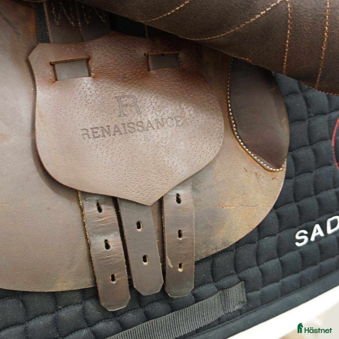 Sadlar hästutrustning till salu: Renaissance F 17" i nyskick! i Upplands Väsby - Annons 6