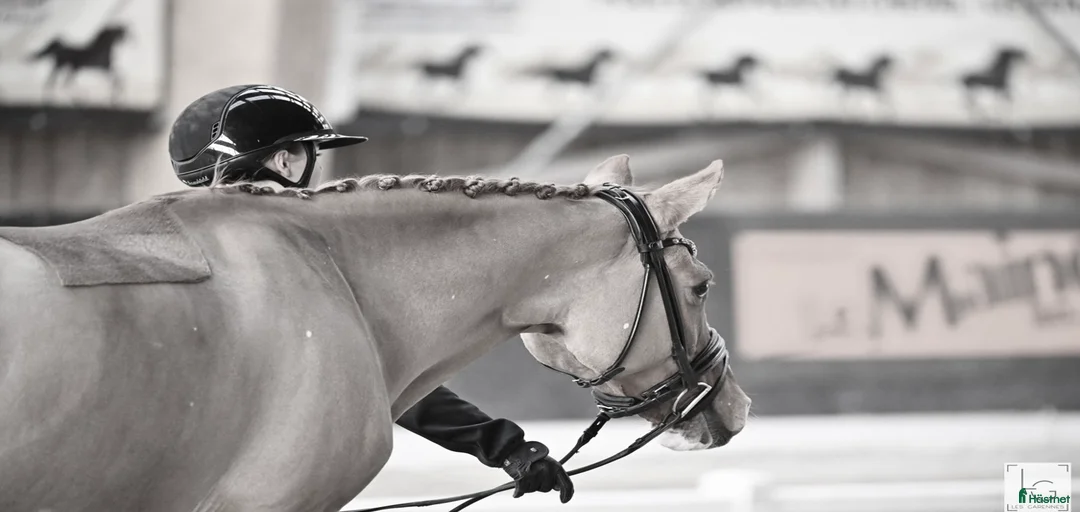 Galleribild {{count}}