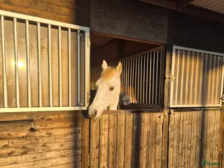 stallplats Ställplatser I Bålsta - Annons 10