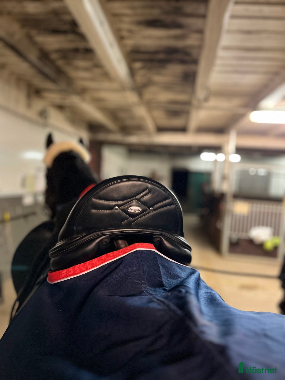 Sadlar hästutrustning till salu: Dressyrsadel prestige philosophy  i Linköping - Annons 1