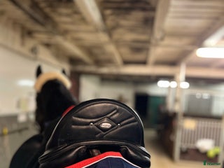 Sadlar hästutrustning till salu: Dressyrsadel prestige philosophy i Linköping - Annons 2