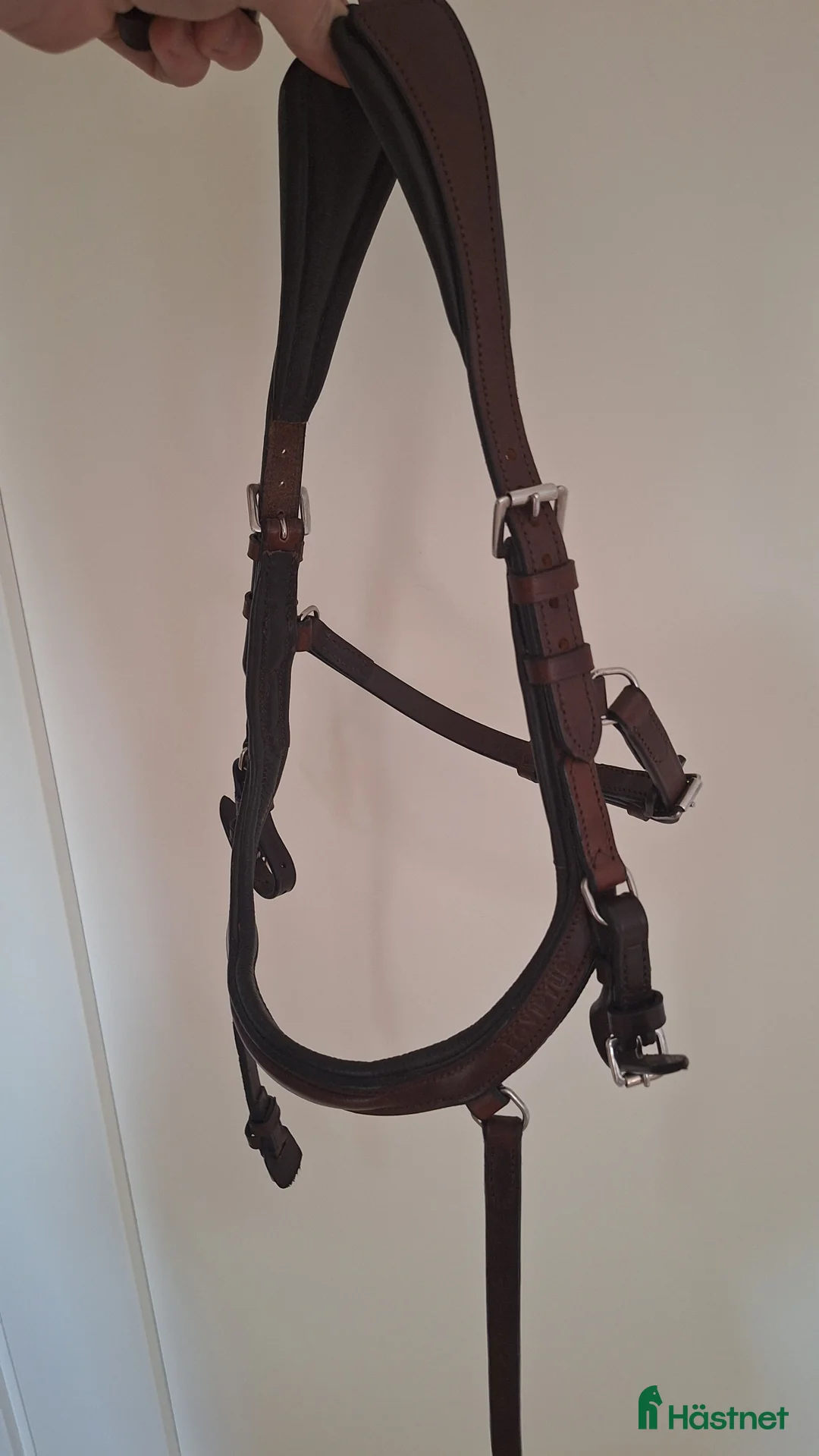 Träns hästutrustning till salu: Träns eqviptus storlek xs (shetland) i Sandarne - Annons 2