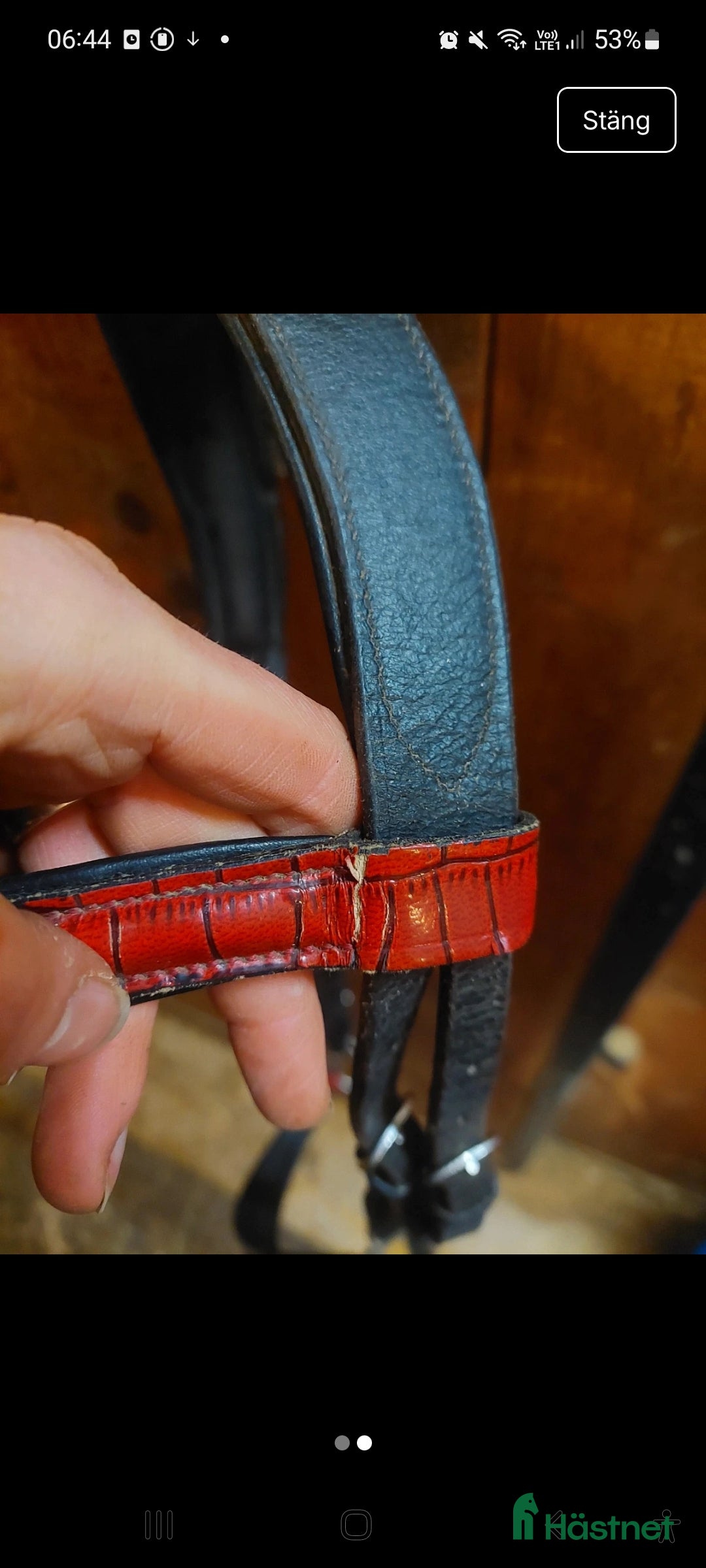 Träns hästutrustning till salu: Islandsträns  i Gnesta - Annons 2