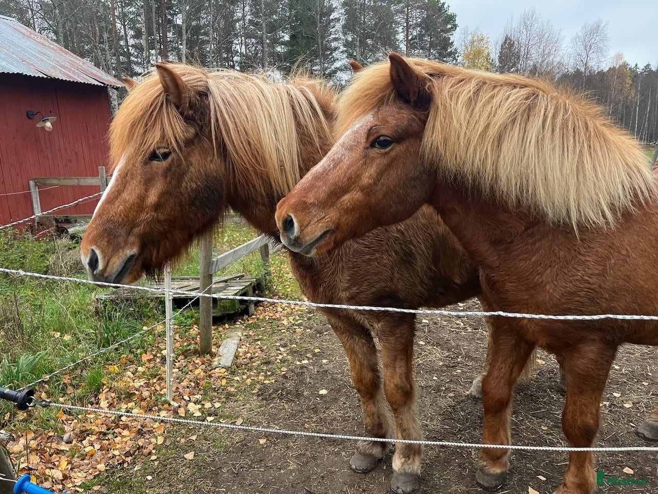  stallplats Stallplats finnes i Tungelsta, Haninge - Annons 16