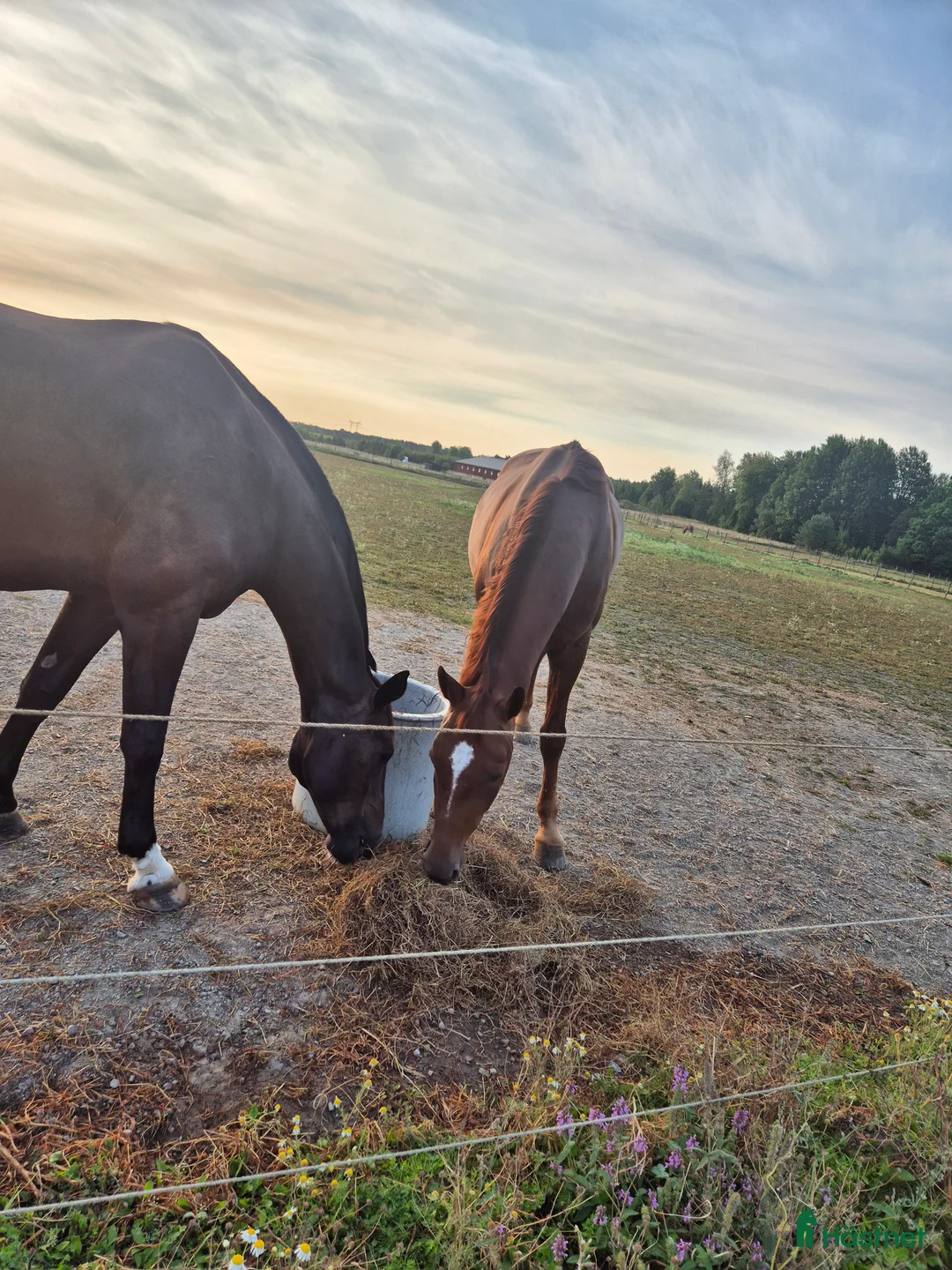  stallplats finnes: Ställplatser I Bålsta i Bålsta - Annons 2