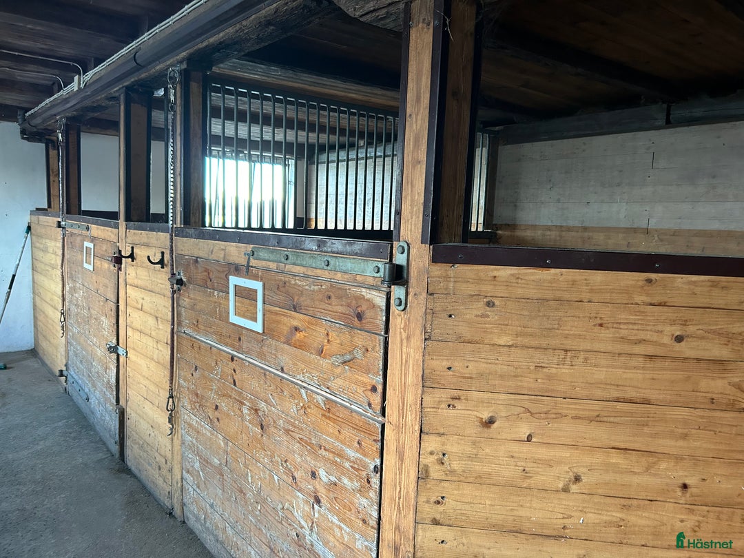  stallplats finnes: Stallplats Kungsbacka  i Kungsbacka - Annons 5