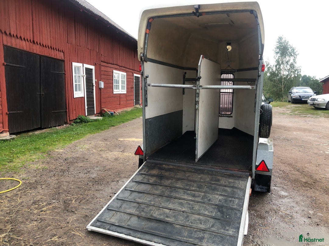 Hästtransporter  fordon & transport till salu: Kylingekärran Apollo 1994 i Åtvidaberg - Annons 4