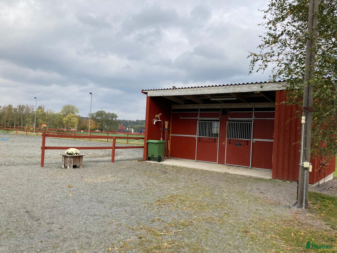  stallplats finnes: Stallplats i mindre stall i Söderköping - Annons 3