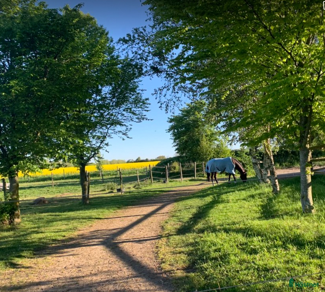  stallplats finnes: Boxplatser Helsingborg i Gantofta - Annons 2