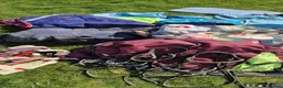 Täcken hästutrustning till salu: Paket med all utrustning - Ponny - Annons 3