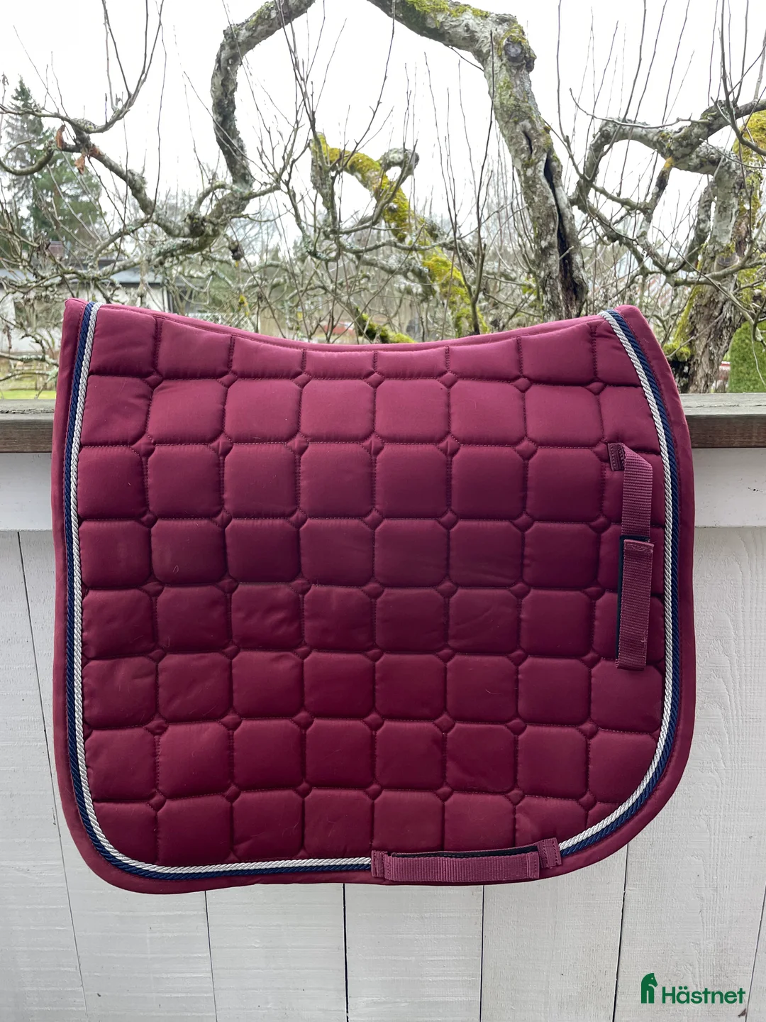 Schabrak & Vojlockar hästutrustning till salu: Stiligt dressyrschabrak i Jönköping - Annons 2