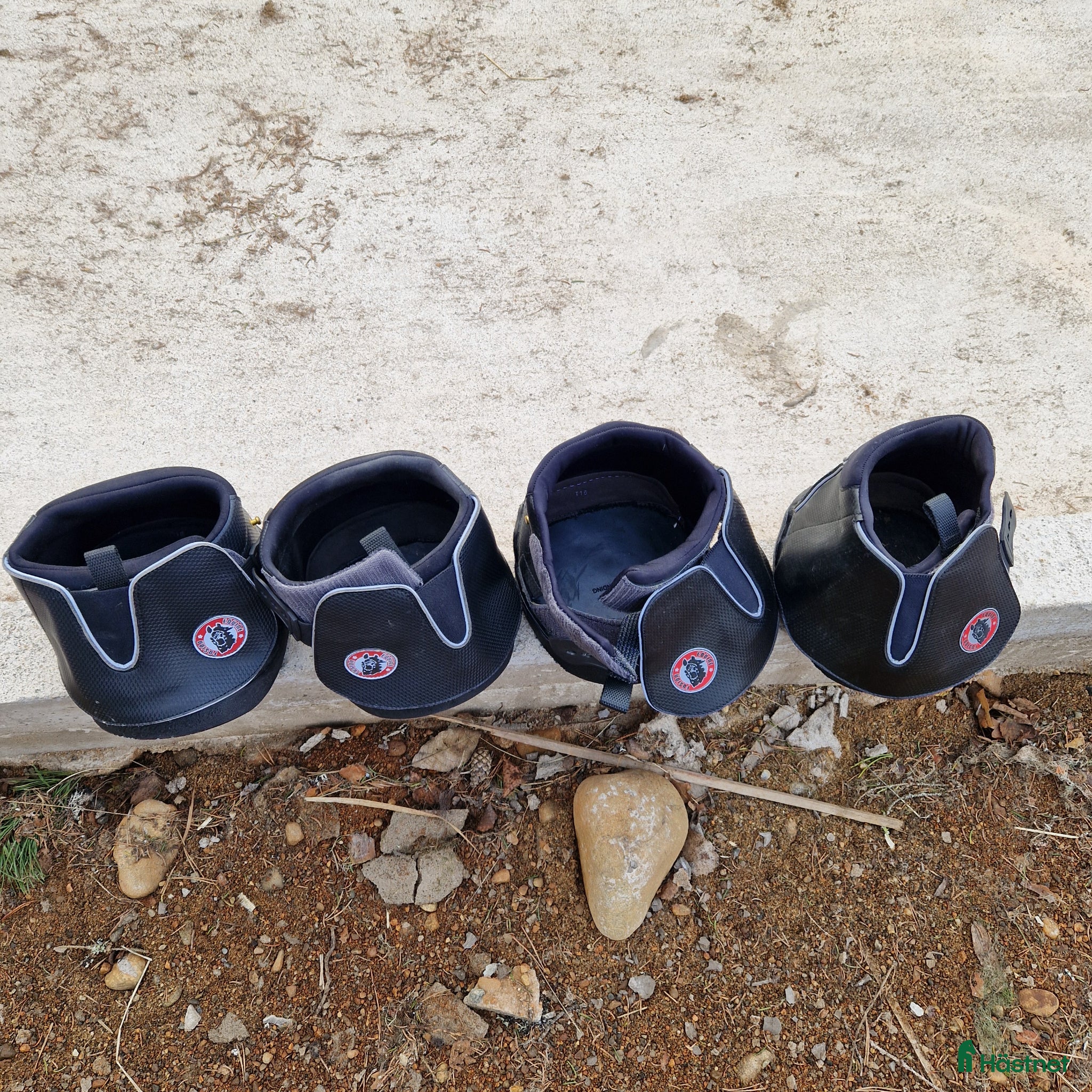 Övrig Hästutrustning hästutrustning Equine Fusion boots stl 16 - Annons 1