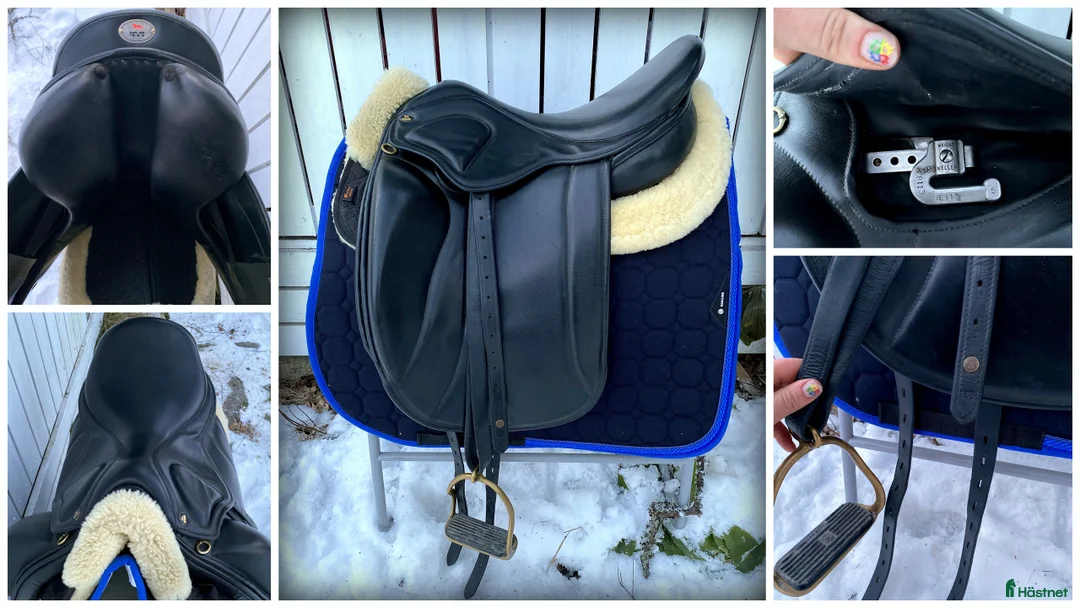 Sadlar hästutrustning till salu: Åstund Epona 17' island/dressyr - Annons 1
