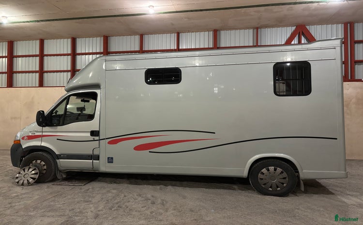Hästlastbilar  fordon & transport till salu: Hästlastbil ‼️reserverad‼️ i Hässleholm - Annons 13