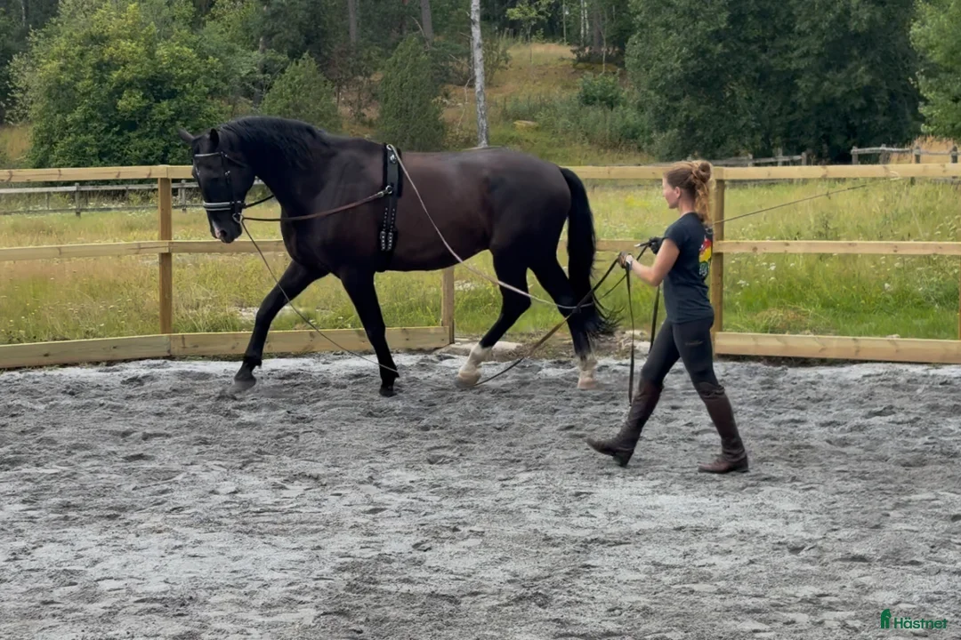  stallplats finnes: Helinackordering Almunge i Almunge - Annons 5