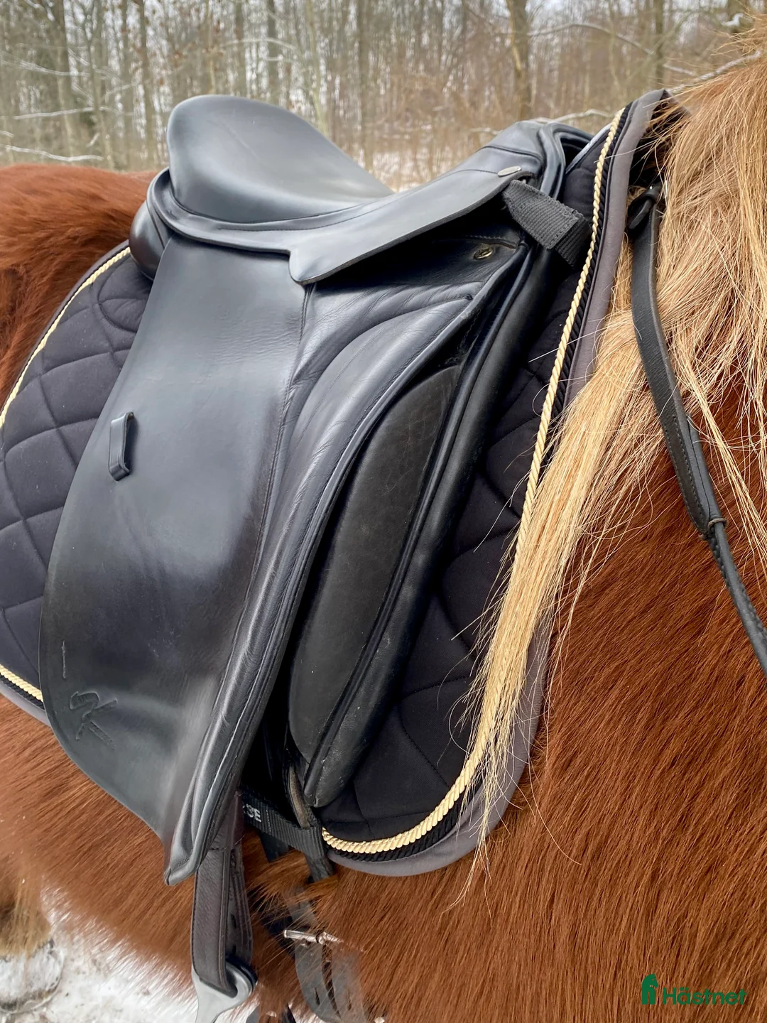 Sadlar hästutrustning till salu: Kentaur Iceland 17”  i Motala - Annons 5