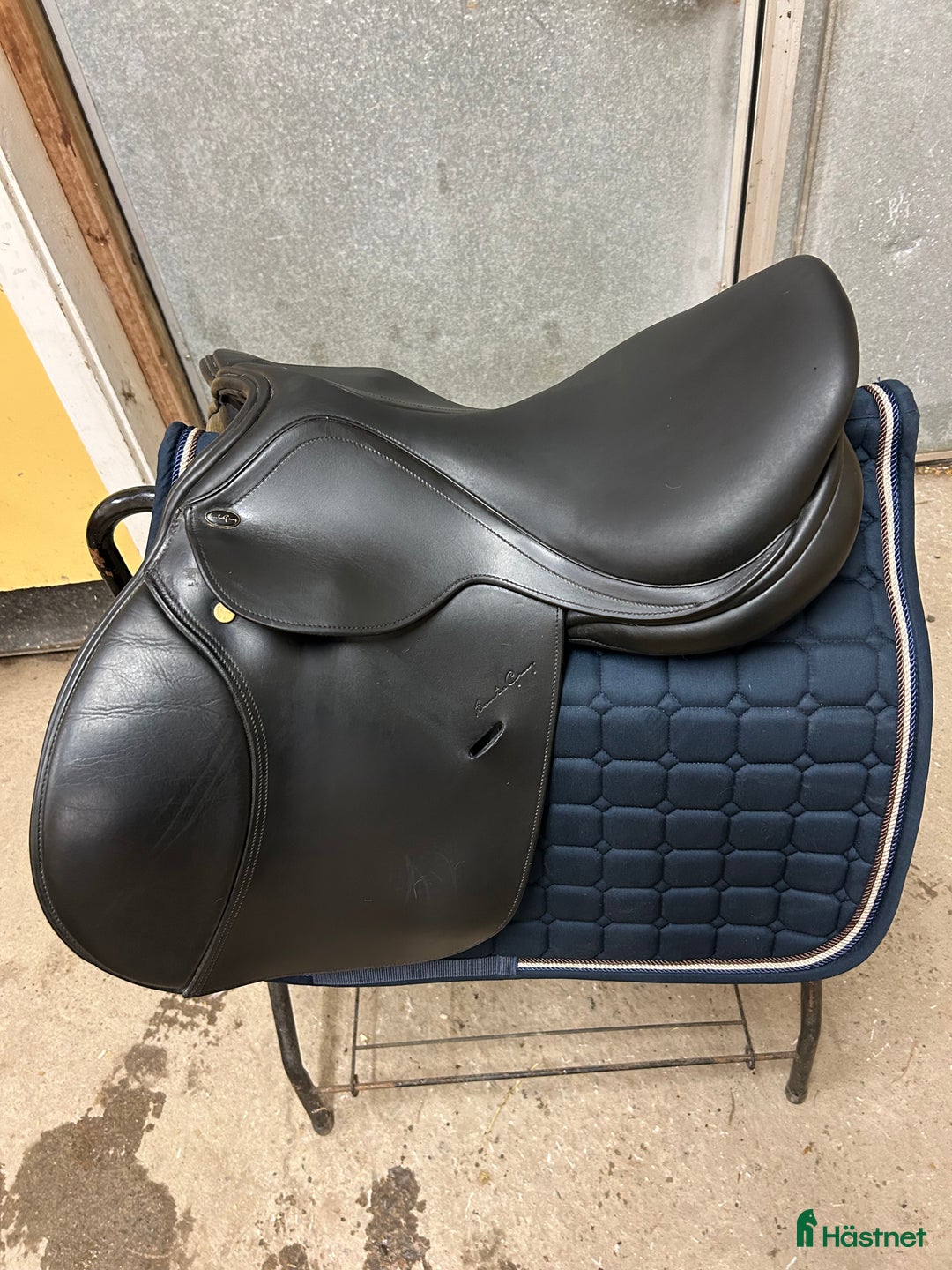 Sadlar hästutrustning till salu: Santa Cruz Celine UG i Domsjö - Annons 4