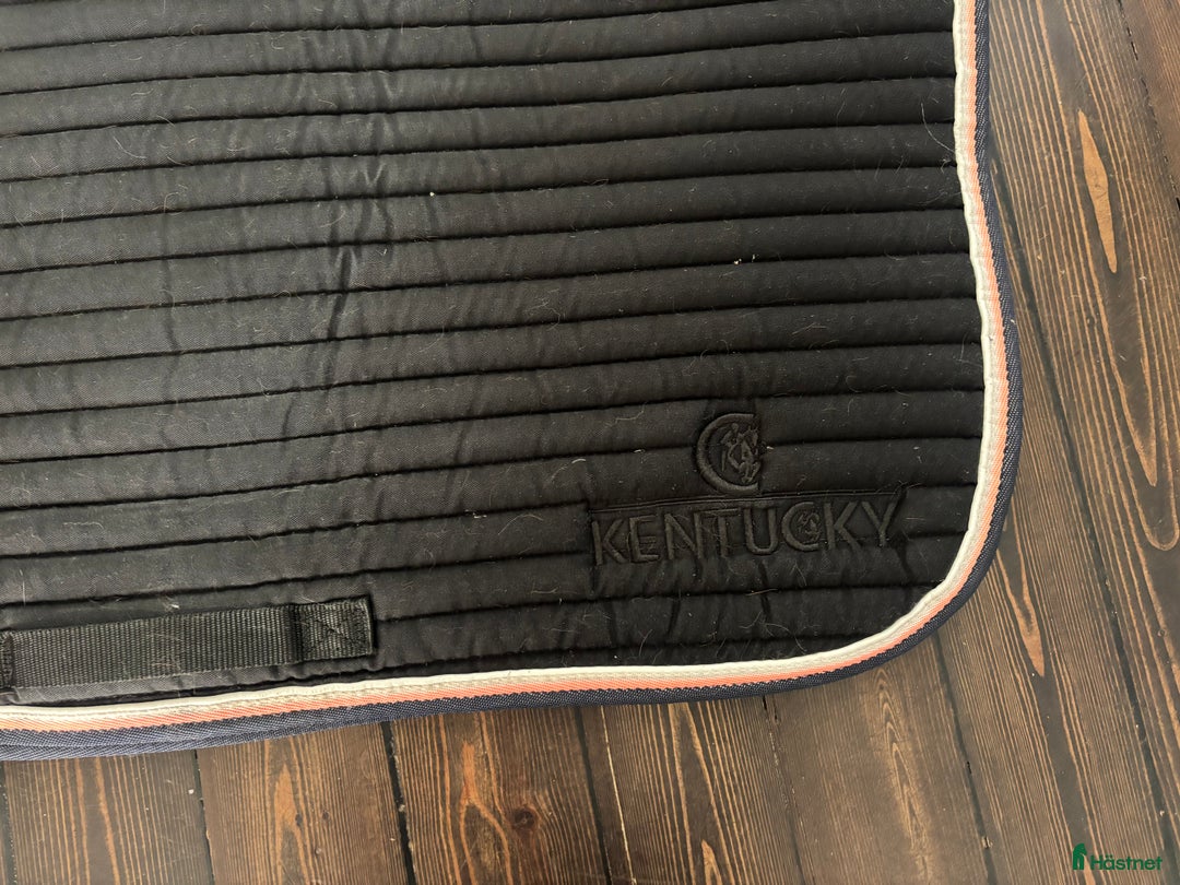 Schabrak & Vojlockar hästutrustning till salu: Kentucky schabrak full hopp i Sollentuna - Annons 3