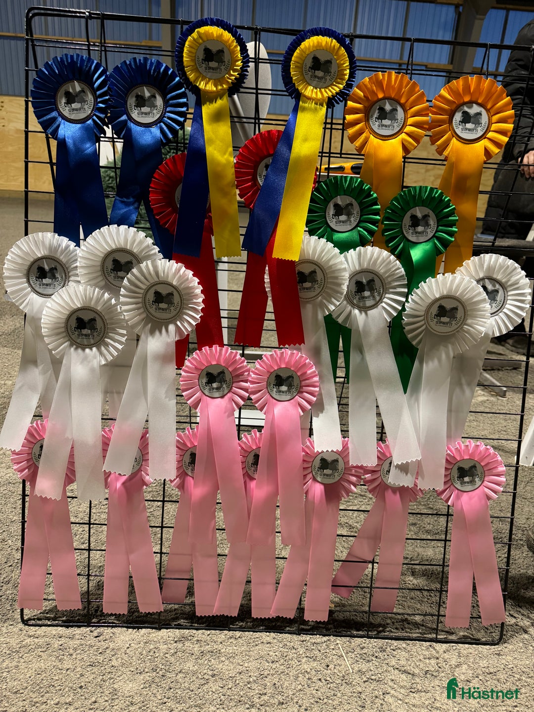  hästservice finnes: Höstlovsridläger i Bergslagen i Riddarhyttan - Annons 3