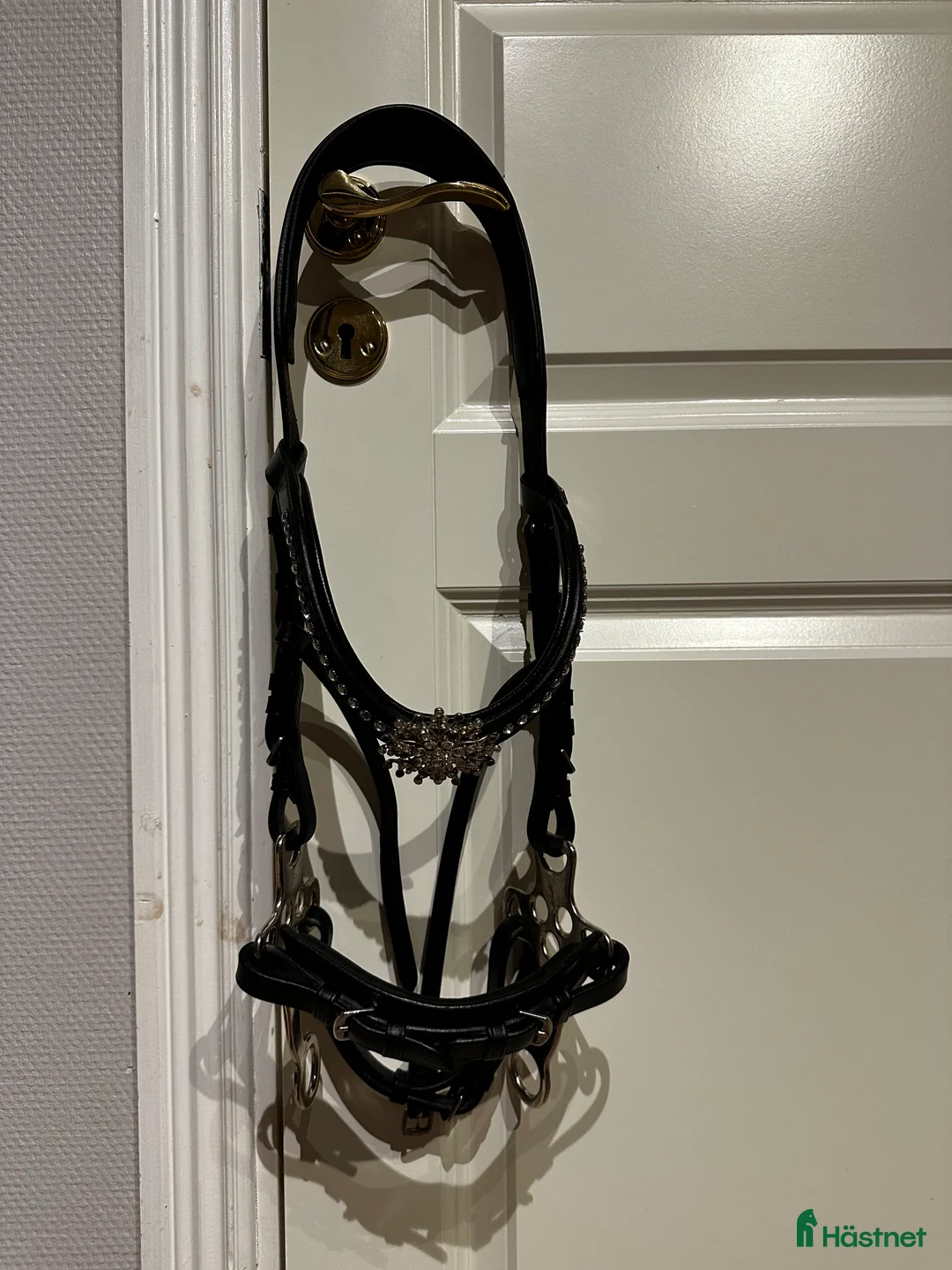 Träns hästutrustning till salu: Hackamore Träns  - Annons 1