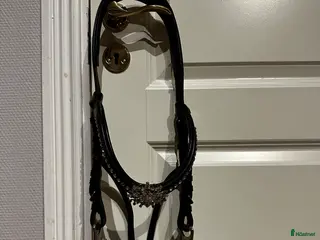 Träns hästutrustning till salu: Hackamore Träns - Annons 1