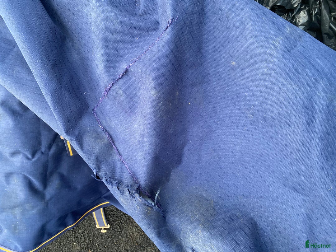 Täcken hästutrustning till salu: Bucas Freedom 150g  i Ytterby - Annons 3