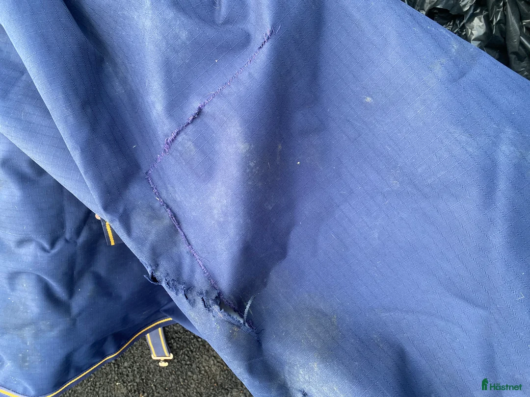 Täcken hästutrustning till salu: Bucas Freedom 150g  i Ytterby - Annons 3